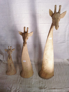 Giraffe head (Swaziland)