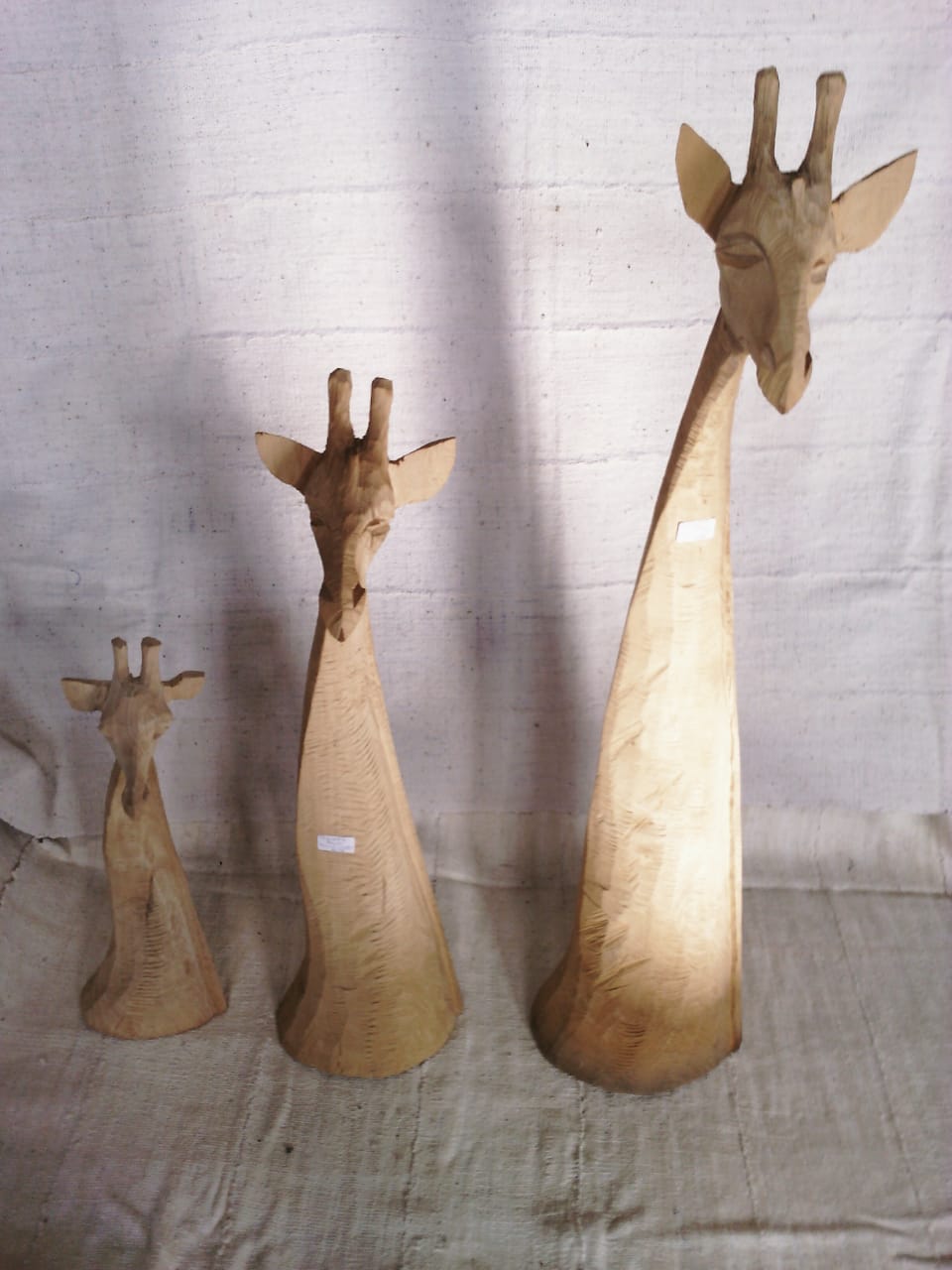 Giraffe head (Swaziland)